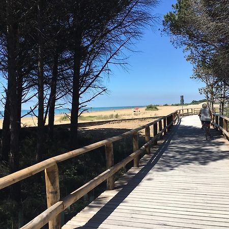 Appartamenti Narcisi Bibione Zewnętrze zdjęcie
